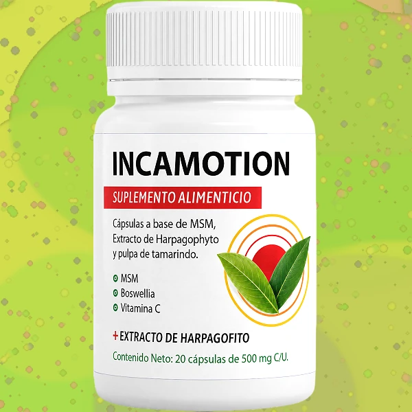 IncaMotion